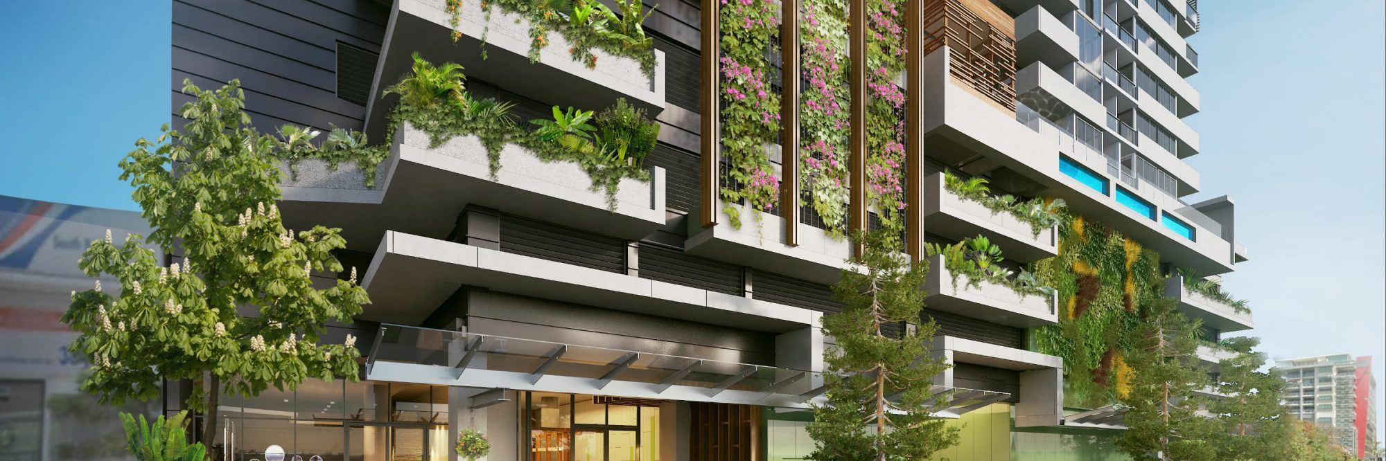 Apartments for Rent Ivy & Eve Brisbane Song Properties